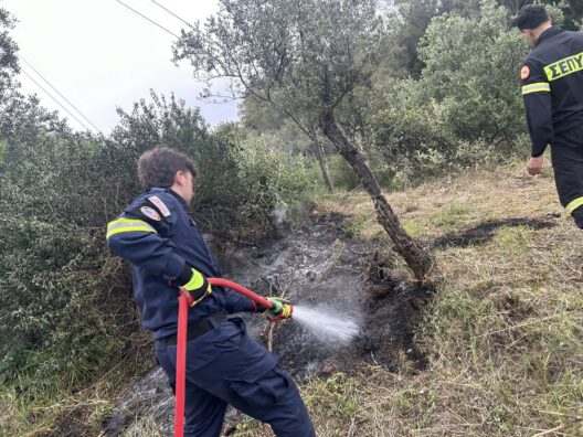 Πάτρα: Πυρκαγιά στο Γηροκομειό - Σε δύσβατο σημείο ΦΩΤΟ