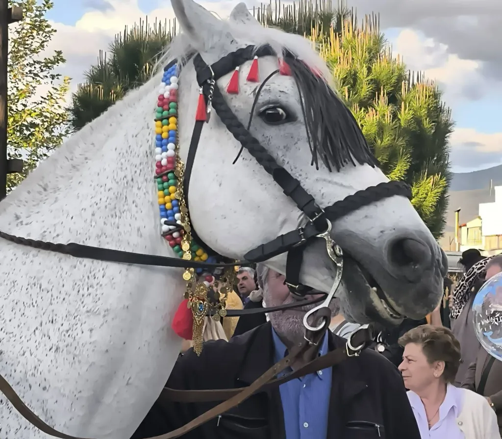 Αλογο προσκύνησε την εικόνα του Αγίου Γεωργίου Ιτεών ΦΩΤΟ