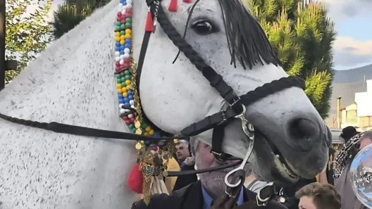 Πάτρα: Αλογο προσκύνησε την εικόνα του Αγίου Γεωργίου ΦΩΤΟ