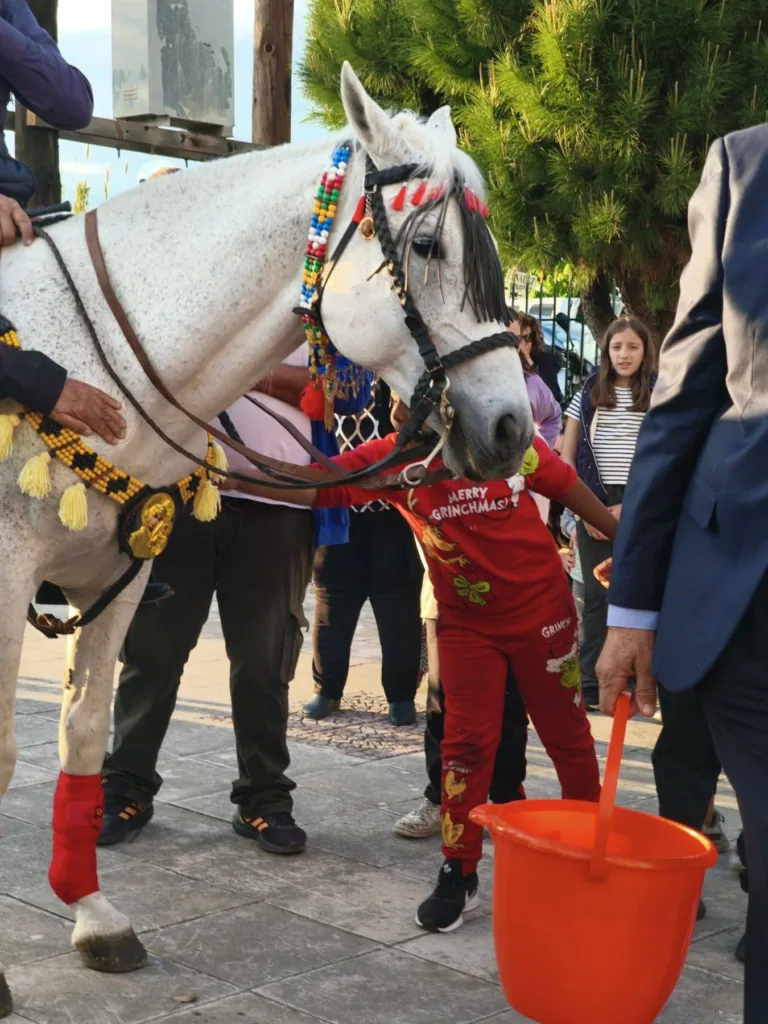 Πάτρα: Αλογο προσκύνησε την εικόνα του Αγίου Γεωργίου ΦΩΤΟ