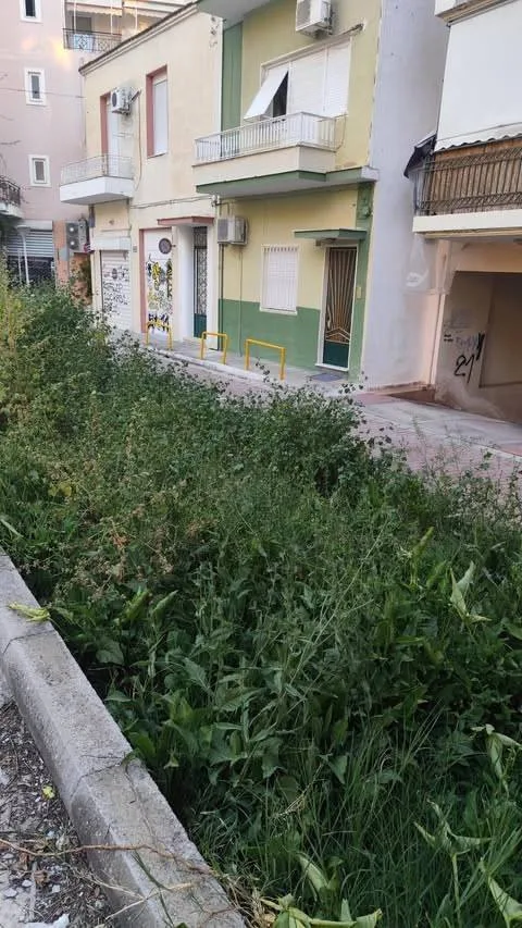 Πάτρα: Μια «ζούγκλα» στην οδό Κανακάρη έρμαιο κλοπών ΦΩΤΟ