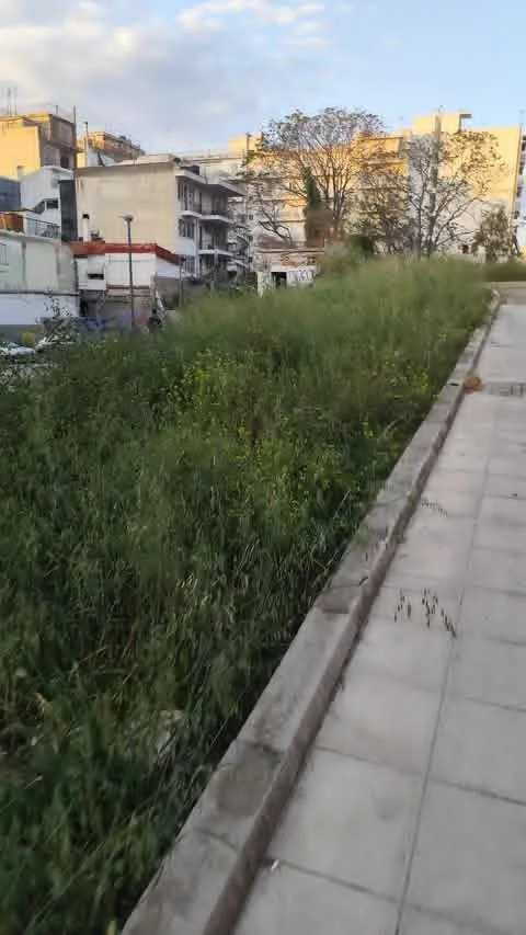 Πάτρα: Μια «ζούγκλα» στην οδό Κανακάρη έρμαιο κλοπών ΦΩΤΟ