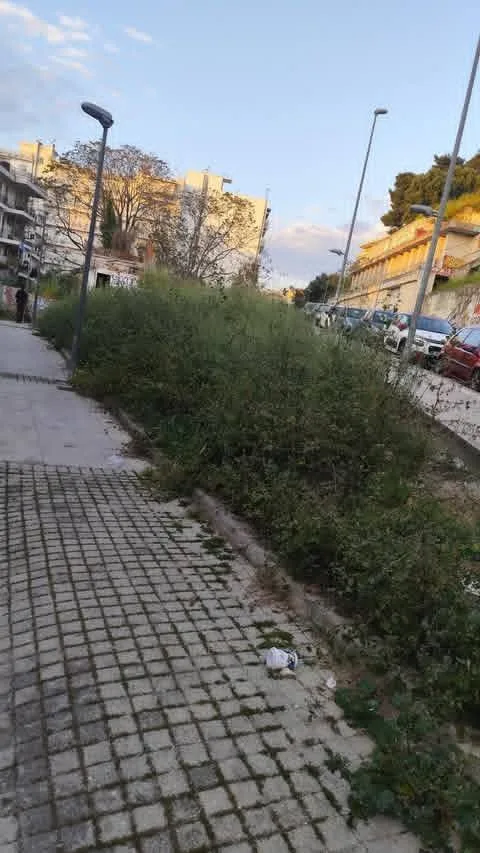 Πάτρα: Μια «ζούγκλα» στην οδό Κανακάρη έρμαιο κλοπών ΦΩΤΟ