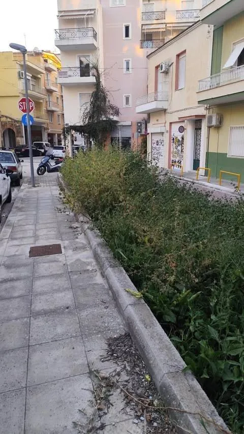 Πάτρα: Μια «ζούγκλα» στην οδό Κανακάρη έρμαιο κλοπών ΦΩΤΟ