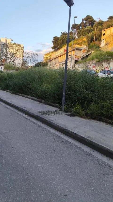 Πάτρα: Μια «ζούγκλα» στην οδό Κανακάρη έρμαιο κλοπών ΦΩΤΟ