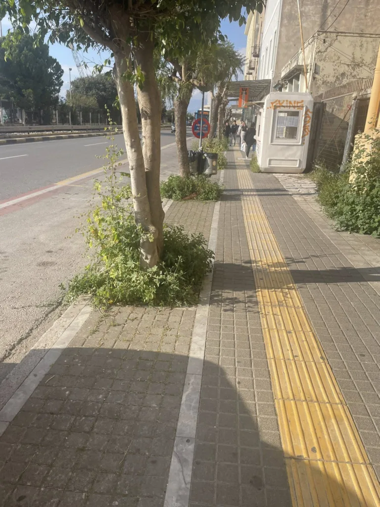 Πάτρα: Περιβαλλοντική αναισθησία του δήμου στην παραλιακή ΦΩΤΟ