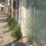 Πάτρα: Περιβαλλοντική αναισθησία του δήμου στην παραλιακή ΦΩΤΟ