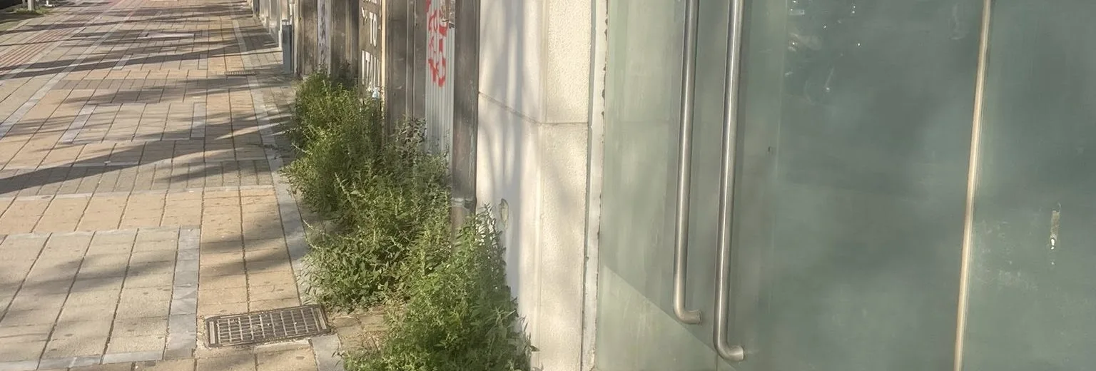 Πάτρα: Περιβαλλοντική αναισθησία του δήμου στην παραλιακή ΦΩΤΟ