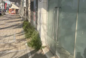 Πάτρα: Περιβαλλοντική αναισθησία του δήμου στην παραλιακή ΦΩΤΟ