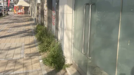 Πάτρα: Περιβαλλοντική αναισθησία του δήμου στην παραλιακή ΦΩΤΟ