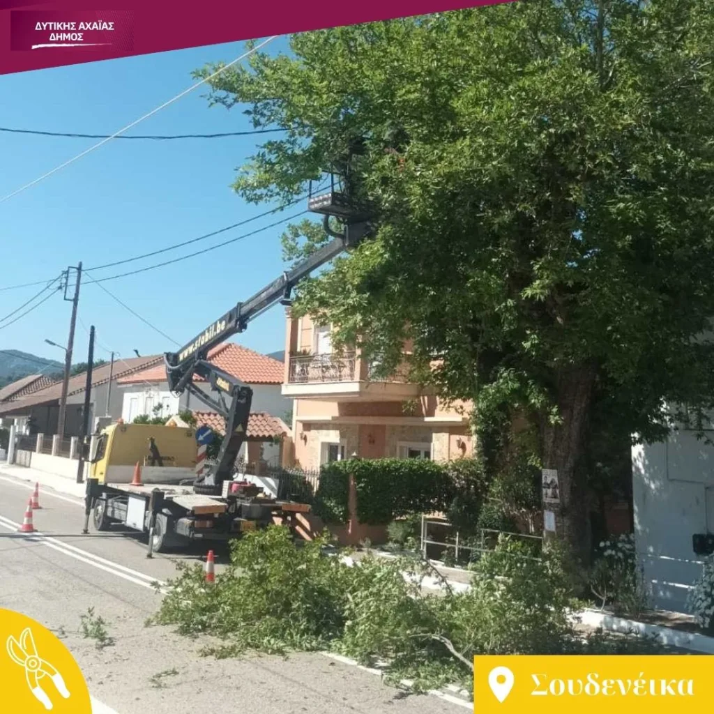 Δυτική Αχαΐα: Εκτακτα μέτρα για επικίνδυνα δέντρα εν όψει πυρκαγιών ΦΩΤΟ