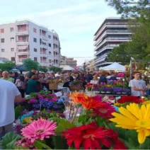 Η Πάτρα υποδέχεται το Μάη με λουλούδια και διασκέδαση σε δύο Πλατείες