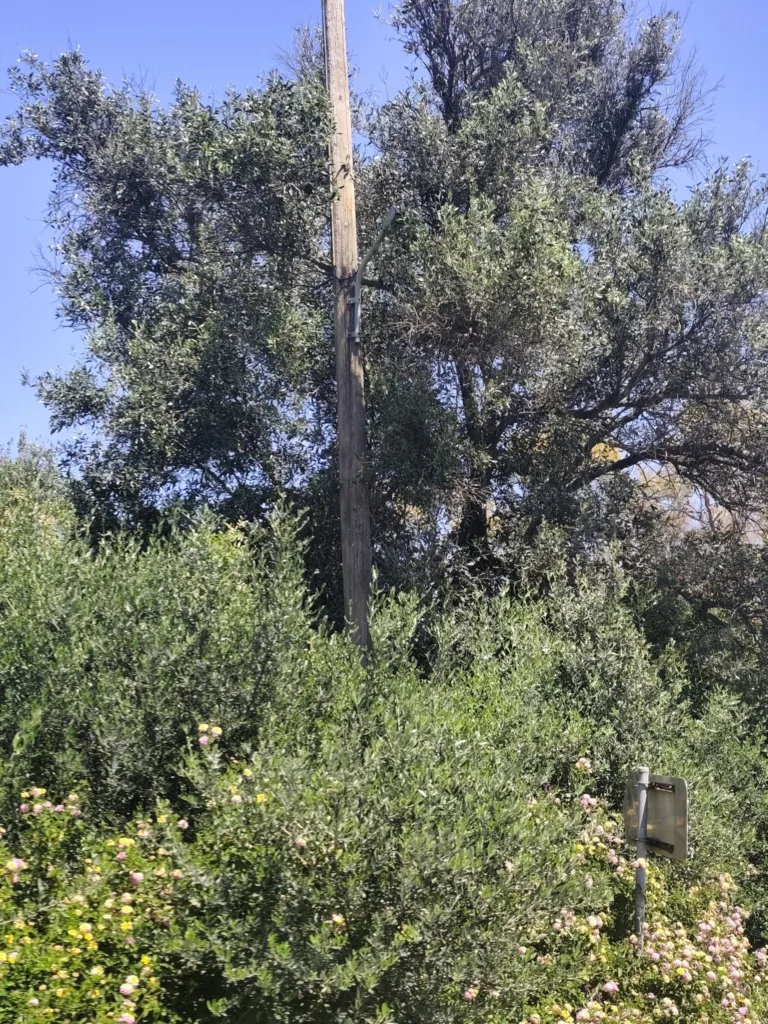 Πατρών–Πύργου: Απίστευτο - Εβαλαν κολώνες φωτισμού και ξέχασαν τις λάμπες...εδώ και 1,5 χρόνο! ΦΩΤΟ 33 Πατρών–Πύργου: Απίστευτο - Εβαλαν κολώνες φωτισμού και ξέχασαν τις λάμπες...εδώ και 1,5 χρόνο! ΦΩΤΟ