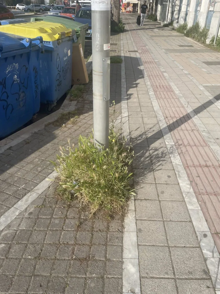 Πάτρα: Περιβαλλοντική αναισθησία του δήμου στην παραλιακή ΦΩΤΟ