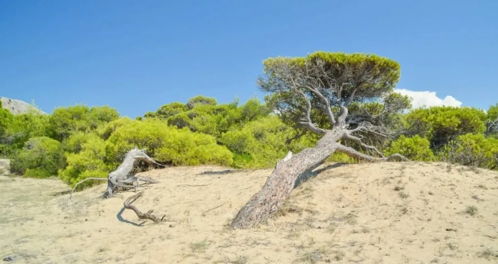 Δυτική Αχαΐα: Αναβαθμίζεται το παραλιακό μέτωπο για ποιότητα και ασφάλεια του επισκέπτη ΦΩΤΟ