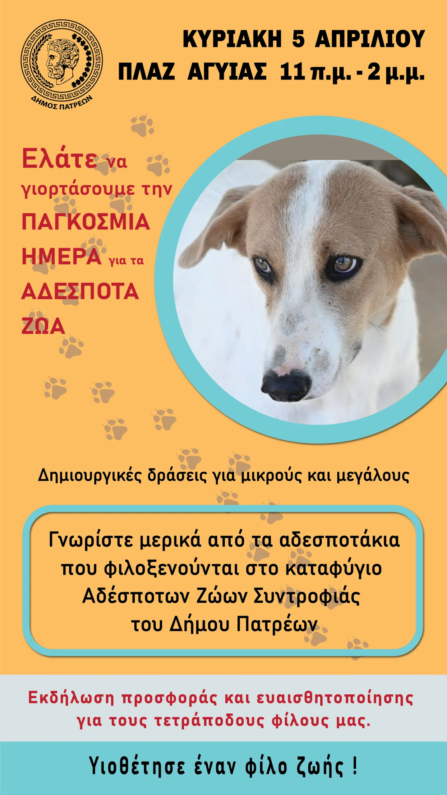 Πάτρα: Εκδήλωση για τα αδέσποτα την Κυριακή 5 Απριλίου στην Πλαζ ΦΩΤΟ