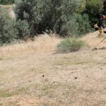 Πάτρα: Τα πρόστιμα και η νέα ψηφιακή δήλωση για τον καθαρισμό οικοπέδων