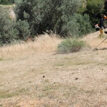 Πάτρα: Τα πρόστιμα και η νέα ψηφιακή δήλωση για τον καθαρισμό οικοπέδων 17 Πάτρα: Τα πρόστιμα και η νέα ψηφιακή δήλωση για τον καθαρισμό οικοπέδων