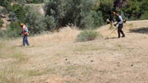 Πάτρα: Τα πρόστιμα και η νέα ψηφιακή δήλωση για τον καθαρισμό οικοπέδων