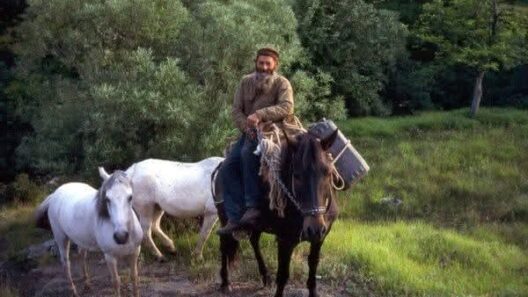 ΜΟΝΟ ΣΤΟ PATRAPRESS.GR-Καλάβρυτα: Οι 30 απειλές μέχρι το 2028 - Το νέο «Επιχειρησιακό Σχέδιο» των ειδικών