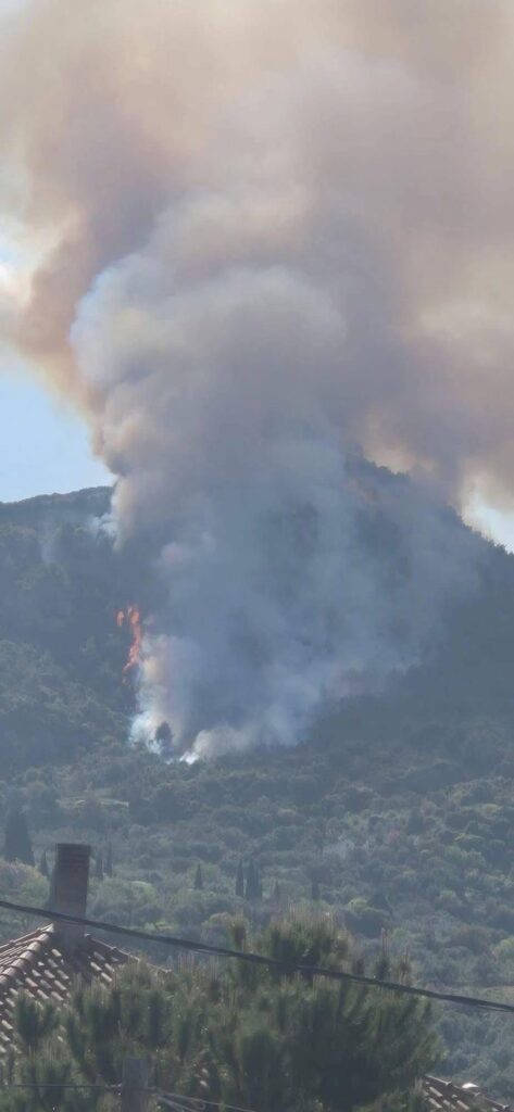 Aχαΐα: Η Πυροσβεστική για την πυρκαγιά στην Ακράτα και τον συλληφθέντα - ΝΕΕΣ ΦΩΤΟ