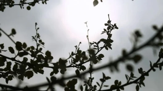 Αχαΐα: Υποχωρούν, θερμοκρασία, σκόνη και βοριάδες