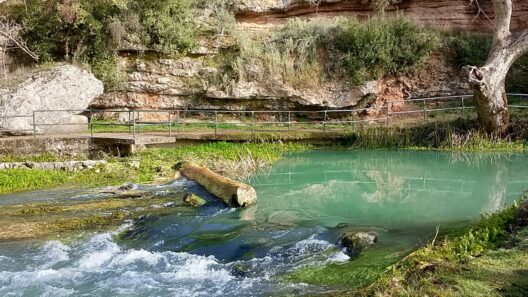 Καλάβρυτα: Αξιοποίηση των πηγών του ποταμού Λάδωνα