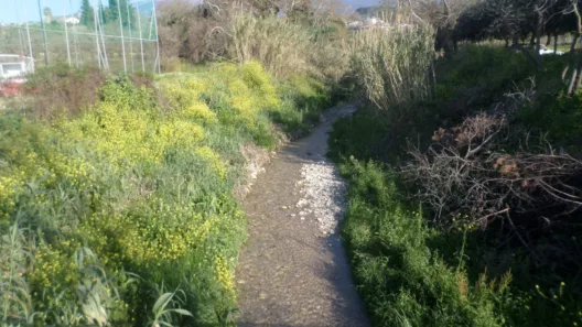 Πάτρα: Διακοπή κυκλοφορίας στο γεφυράκι του Μείλιχου