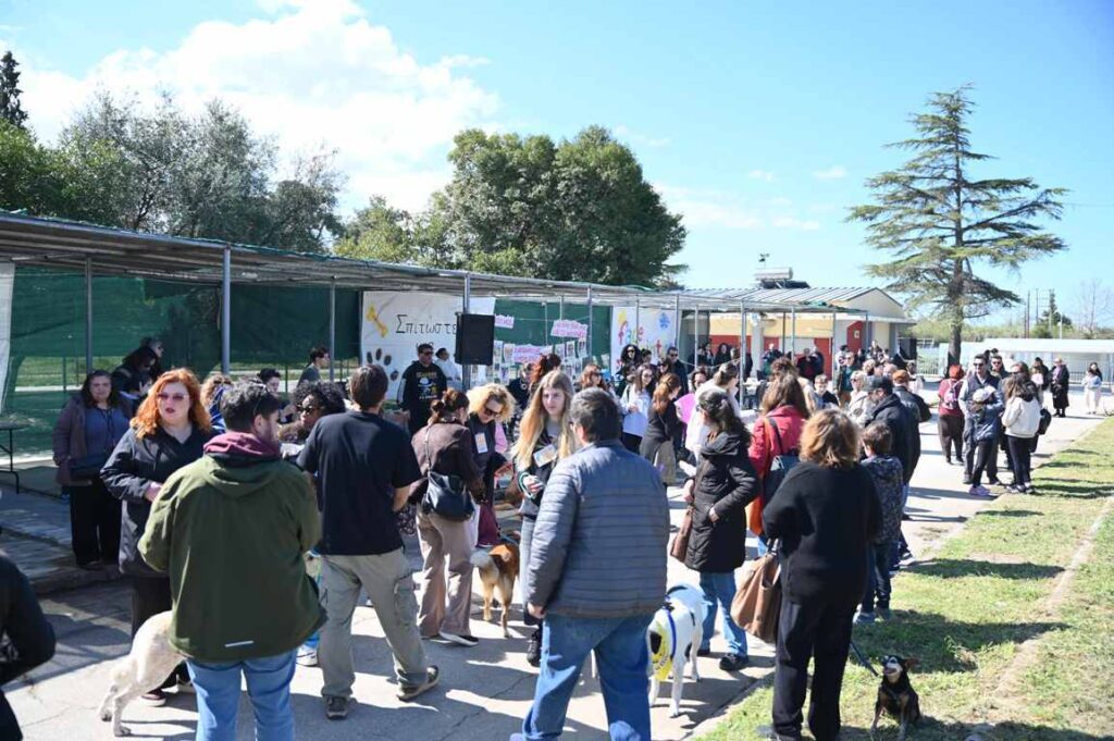 Εκδήλωση του Δήμου Πάτρας για τα αδέσποτα ζώα ΦΩΤΟ 25 Εκδήλωση του Δήμου Πάτρας για τα αδέσποτα ζώα ΦΩΤΟ