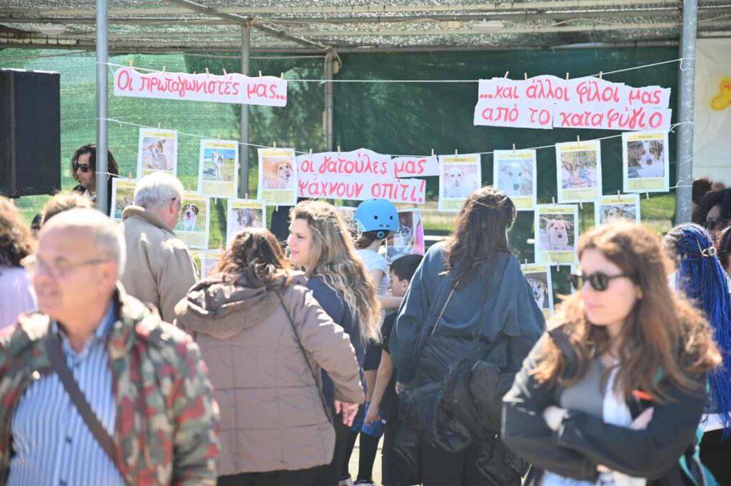 Εκδήλωση του Δήμου Πάτρας για τα αδέσποτα ζώα ΦΩΤΟ 27 Εκδήλωση του Δήμου Πάτρας για τα αδέσποτα ζώα ΦΩΤΟ