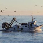 Πάτρα: Νεκρός εν πλώ κυβερνήτης αλιευτικού σκάφους ΝΕΟΤΕΡΑ