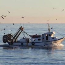 Πάτρα: Νεκρός εν πλώ κυβερνήτης αλιευτικού σκάφους