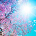 Αχαΐα: Ανοιξιάτικος ο καιρός σήμερα - Η πιθανότητα βροχής