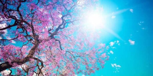 Αχαΐα: Ανοιξιάτικος ο καιρός σήμερα - Η πιθανότητα βροχής