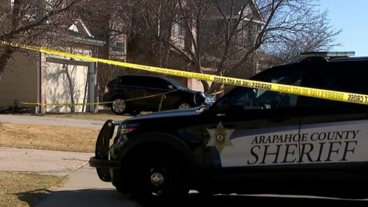 Κολοράντο: 11χρονος κατηγορείται για τη δολοφονία του 5χρονου αδελφού του