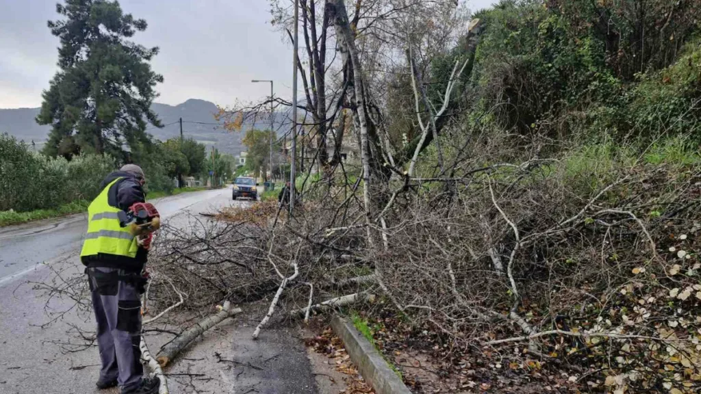 Ρίο: Επεσαν κλαδιά δέντρων - Επενέβη η Πολιτική Προστασία Αχαΐας ΦΩΤΟ