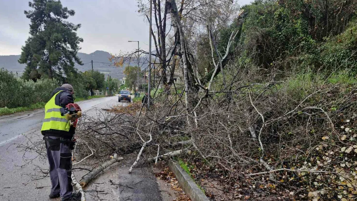 Ρίο: Επεσαν κλαδιά δέντρων - Επενέβη η Πολιτική Προστασία Αχαΐας ΦΩΤΟ 33 Ρίο: Επεσαν κλαδιά δέντρων – Επενέβη η Πολιτική Προστασία Αχαΐας ΦΩΤΟ