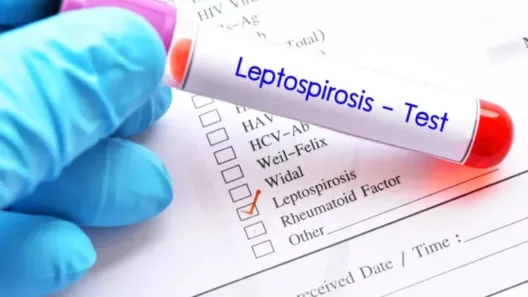 Κλιμάκιο του ΕΟΔΥ στη Ζάκυνθο για τα κρούσματα λεπτοσπείρωσης το ένα θανατηφόρο