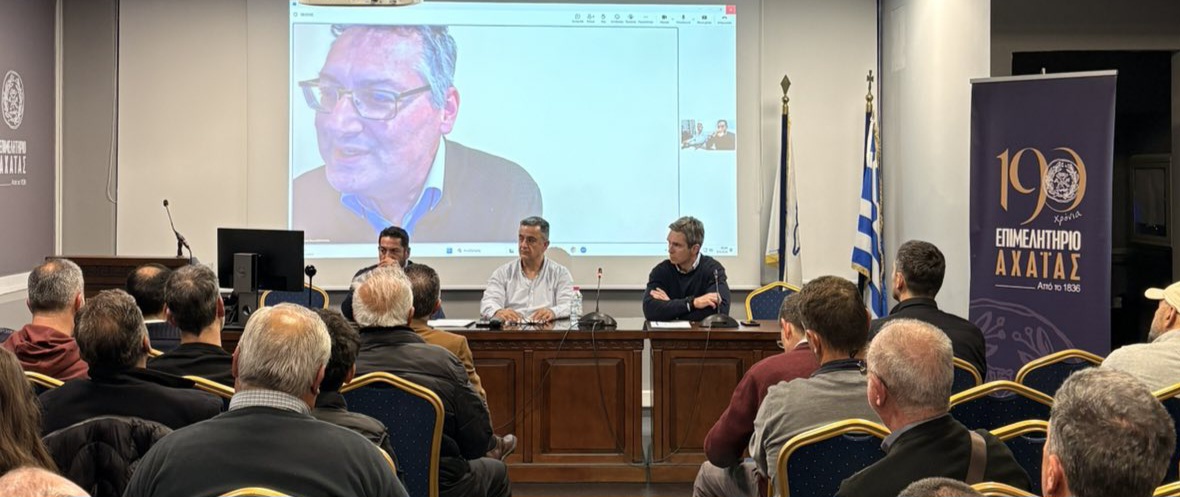 Επιμελητήριο Αχαΐας: Μεγάλη ανταπόκριση στην πρωτοβουλία για την πιστοποίηση του αχαϊκού ελαιολάδου ως ΠΟΠ/ΠΓΕ