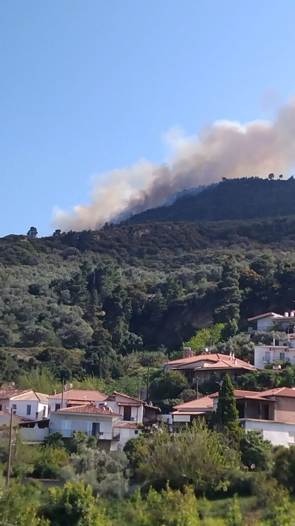 ΦΩΤΟ: Nikos Zizilas