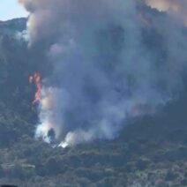 Αχαΐα: Μια σύλληψη για τη φωτιά στην Αμπελο Ακράτας ΦΩΤΟ - ΒΙΝΤΕΟ