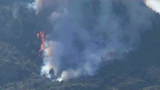 Αχαΐα: Μια σύλληψη για τη φωτιά στην Αμπελο Ακράτας ΦΩΤΟ - ΒΙΝΤΕΟ