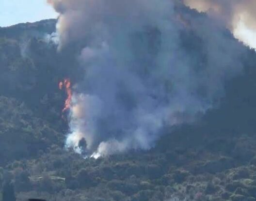 Αχαΐα: Μια σύλληψη για τη φωτιά στην Αμπελο Ακράτας ΦΩΤΟ - ΒΙΝΤΕΟ