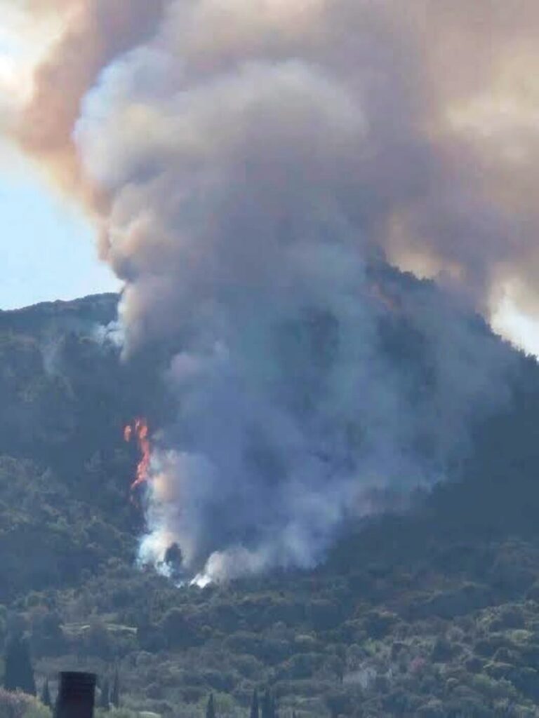Αχαΐα: Μια σύλληψη για τη φωτιά στην Αμπελο Ακράτας ΦΩΤΟ - ΒΙΝΤΕΟ