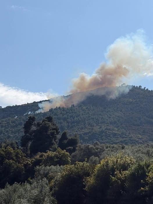 Αχαΐα: Πυρκαγιά στην Ακράτα - Σηκώθηκαν αεροσκάφη - Ηχησε το «112» ΝΕΟΤΕΡΑ - ΦΩΤΟ - ΒΙΝΤΕΟ