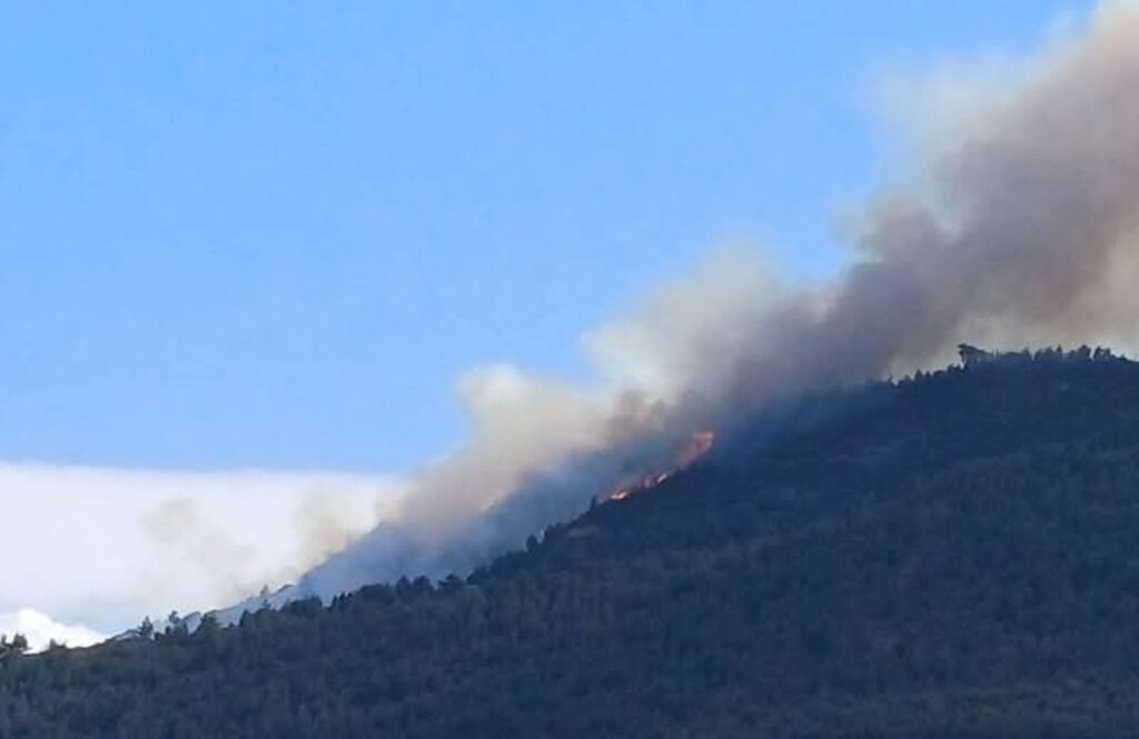 Αχαΐα: Πυρκαγιά στην Ακράτα - Σηκώθηκαν αεροσκάφη - Ηχησε το «112» ΝΕΟΤΕΡΑ - ΦΩΤΟ - ΒΙΝΤΕΟ