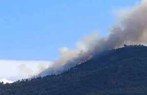 Αχαΐα: Πυρκαγιά στην Ακράτα - Επιχειρούν ισχυρές πυροσβεστικές δυνάμεις - Ηχησε το «112» ΝΕΟΤΕΡΑ - ΦΩΤΟ - ΒΙΝΤΕΟ