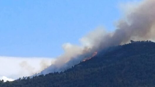 Αχαΐα: Πυρκαγιά στην Ακράτα - Επιχειρούν ισχυρές πυροσβεστικές δυνάμεις - Ηχησε το «112» ΝΕΟΤΕΡΑ - ΦΩΤΟ - ΒΙΝΤΕΟ