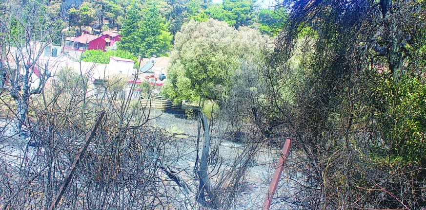 Γηροκομειό-Πάτρα: Στην δικαιοσύνη οι αυθαίρετες κατασκευές - Τα "αποκαλυπτήρια" μετά την μεγάλη φωτιά 25 Γηροκομειό-Πάτρα: Στην δικαιοσύνη οι αυθαίρετες κατασκευές - Τα "αποκαλυπτήρια" μετά την μεγάλη φωτιά