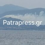 Αχαΐα: Μεγάλη κινητοποίηση της Πυροσβεστικής για φωτιά στα Σελιανίτικα - Τι δηλώνει στο Patrapress.gr ο Φ. Ζαΐμης ΝΕΟΤΕΡΑ - ΦΩΤΟ